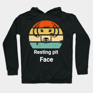 Vintage resting pit face dog Hoodie